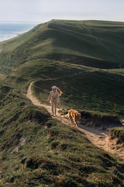 Connecting to nature: how to tune in to the natural world